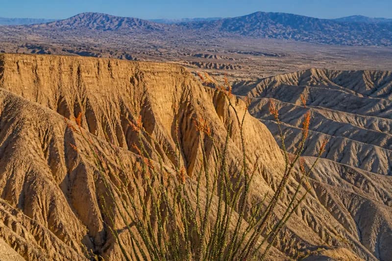 Anza-Borrego Desert State Park